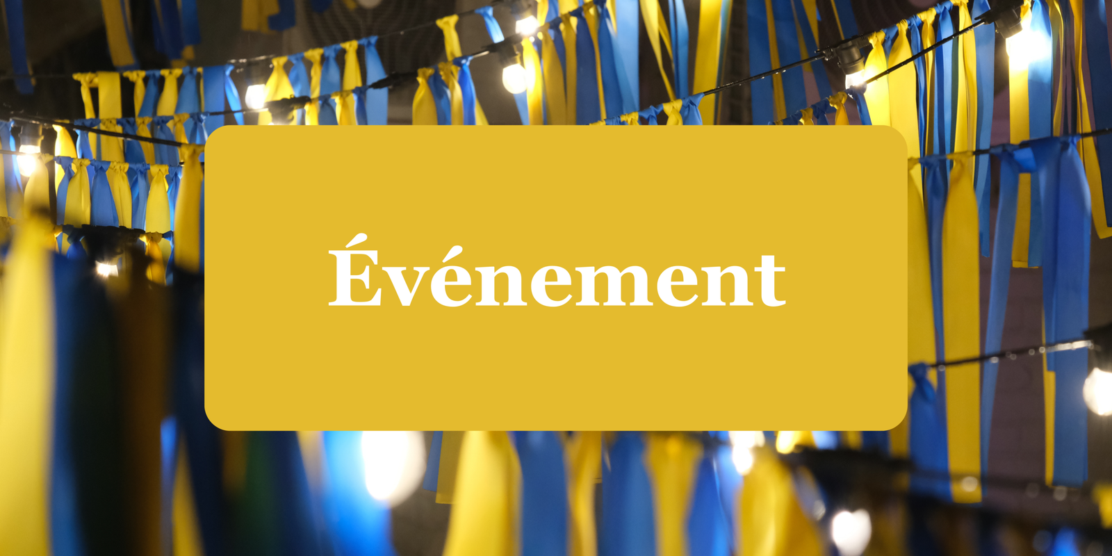 Les études ukrainiennes en France : une conférence de l’Inalco pour penser les recherches sur l’Ukraine de demain (projet Erasmus+ EUkraine Forum)